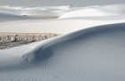 Dunes & Dune Tracks, White Sands