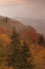 Fall Colors in the Smokies