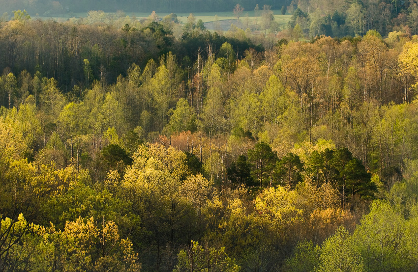 Spring Colors from Foothills Parkway overlook near the Smokies.