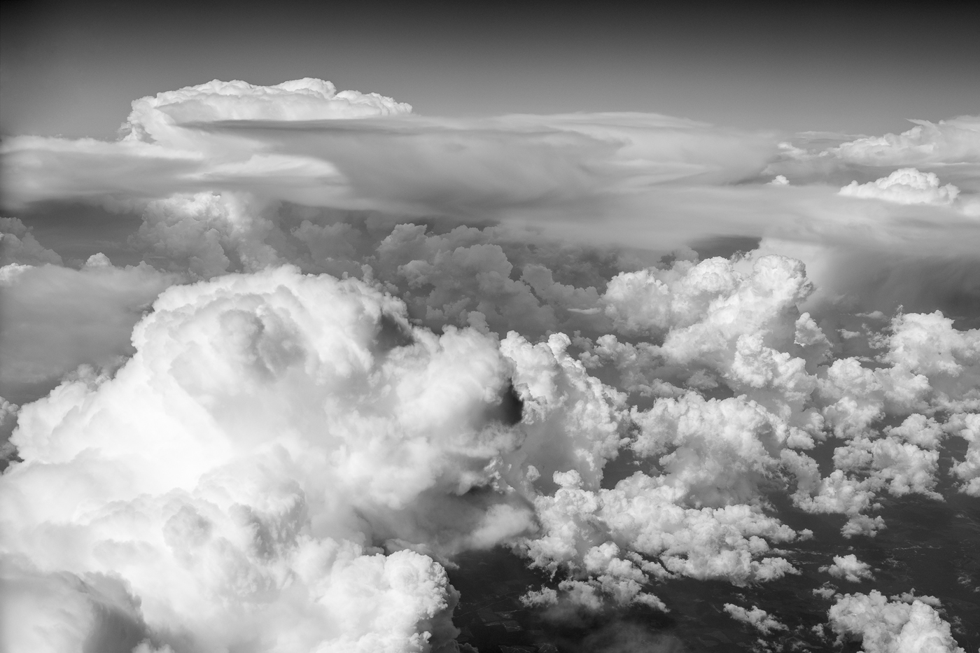 The Elusive Dog Cloud. (ZEISS Milvus 50mm f/2 macro on Nikon D850.)
