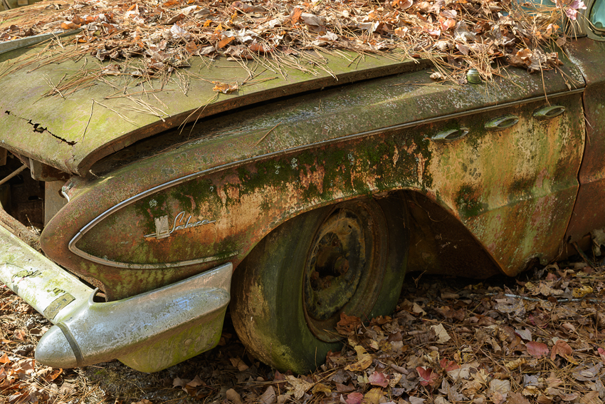Buick LaSabre in Old Car City USA. (ZEISS Milvus 50mm f/2 macro on Nikon D850.)
