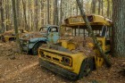 Old School Bus & Old Trucks. Old Car City USA, White, GA. (ZEISS Milvus 25mm F/1.4 on Nikon D850.)